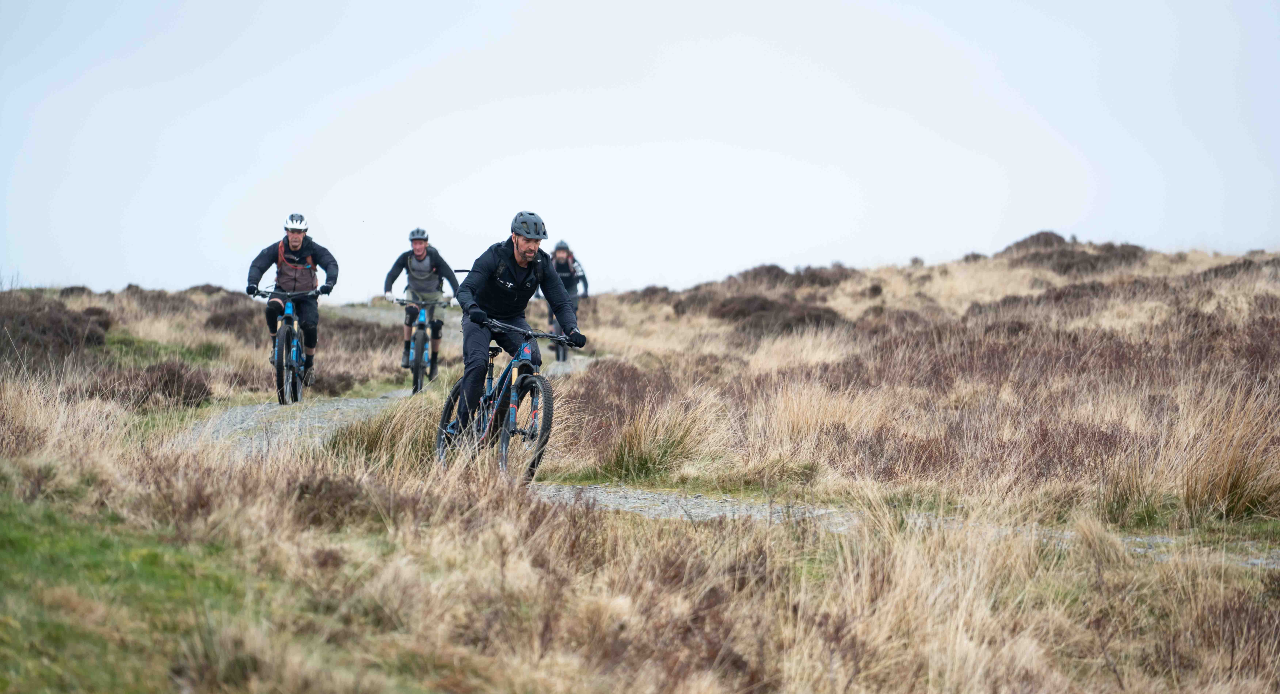 Grizedale bike hire discount