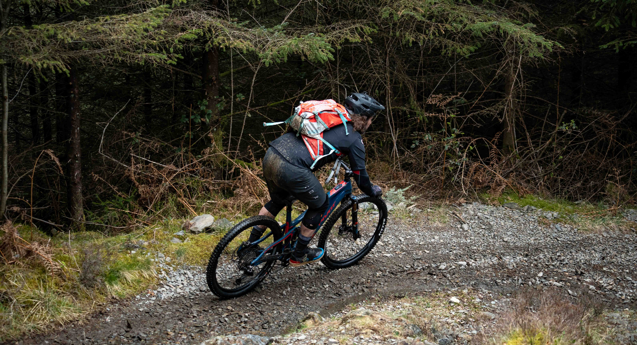 Biketreks Grizedale